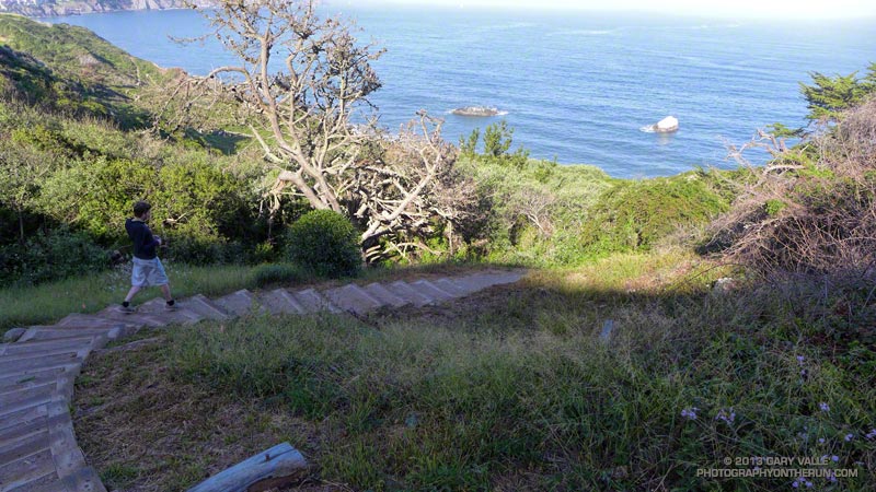 Descending the Batteries to Bluffs Trail near the Pacific Overlook.