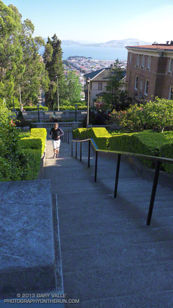 The second set of Lyon Street steps. On another occasion Brett & Amanda counted a total of 291.steps.