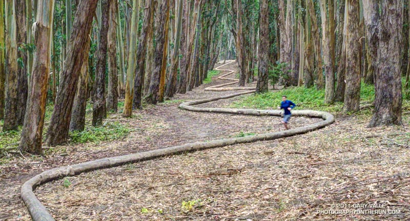 Andy Goldsworthy's Wood Line, the first of two of his works passed on the run. (Photo from August 2011)