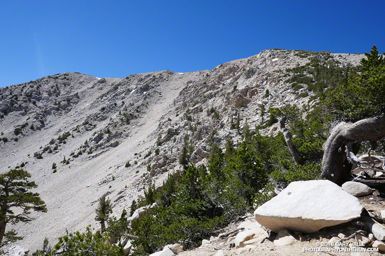 View of the chutes off Jepson Peak from the Little Charlton - Jepson Saddle. Elevation about 10,540 ft.