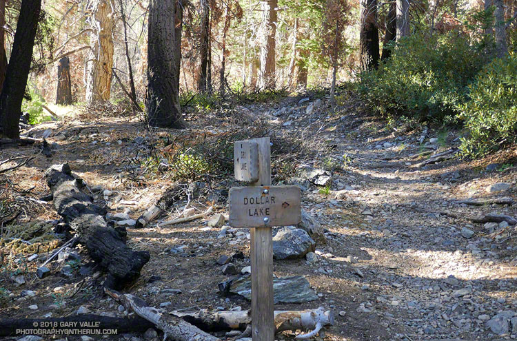 Junction of the Dry Lake Trail (left) and Dollar Lake Trail (right). Elevation about 8,200 ft. I prefer Dollar Lake up and Dry Lake down.