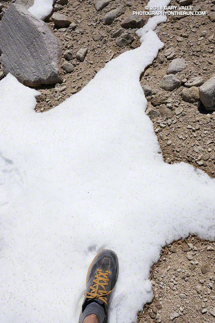 Snow near the top of the Sky High Trail. Elevation about 11,310 ft. June 9, 2018.
