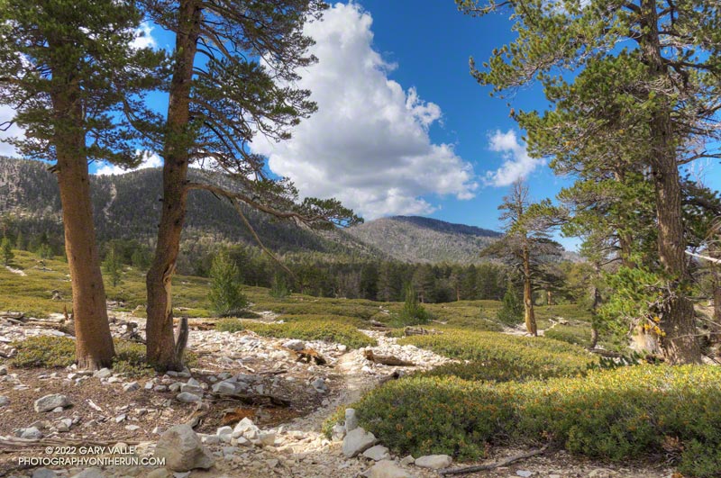 A spectacular afternoon on San Gorgonio's Dry Lake Trail. September 24, 2022.