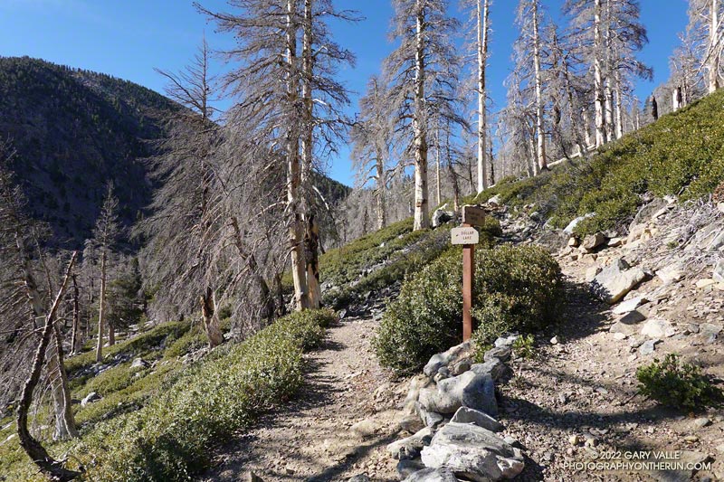 The Dollar Lake - Dollar Lake Saddle (right) junction. This is at an elevation of about 9530' and 5.75 miles from the South Fork Trailhead.