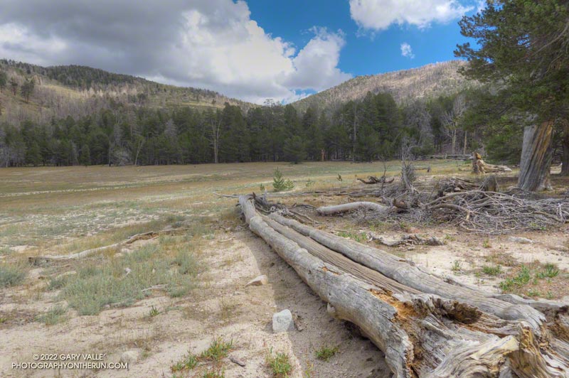 A very dry Dry Lake on San Gorgonio. September 24, 2022.