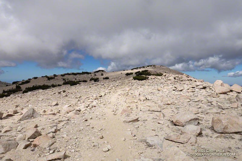 Returning across San Gorgonio's summit plateau.