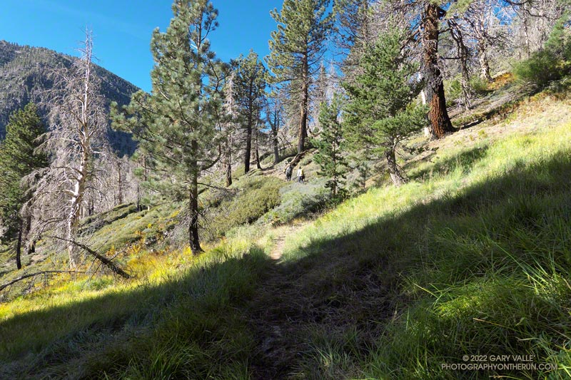 Hikers on the Dollar Lake Trail, just beyond a soggy seep at about 9270'.