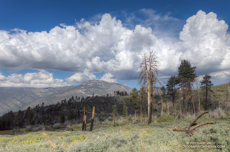 Towering cumulus and Sugarloaf Mountain from the South Fork Trail above Horse Meadows.