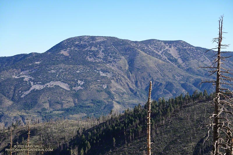 Sugarloaf Mountain (9952') from the Dollar Lake Trail.