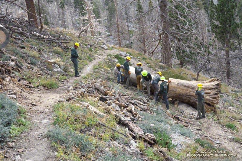 USFS SWGA Trails Volunteers removing a large tree from a switchback on the Dry Lake Trail, above South Fork Meadows.