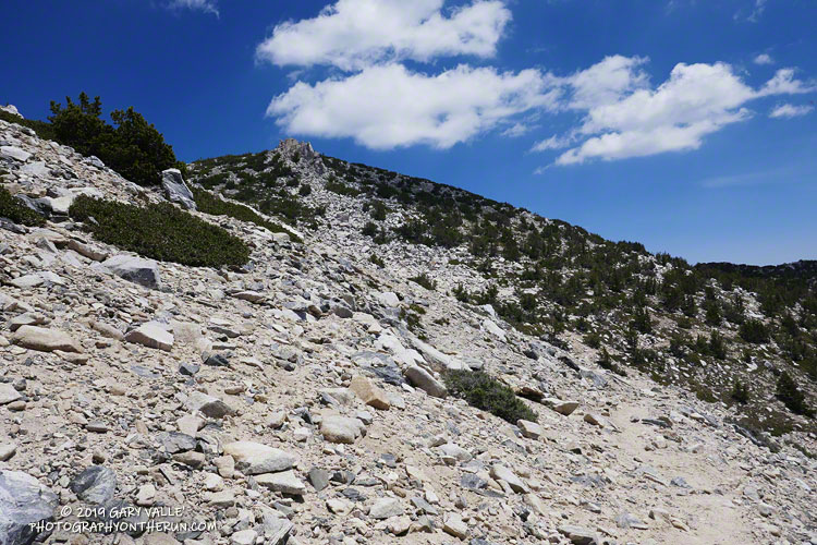 Puffy clouds, blue skies and a mountain trail.
