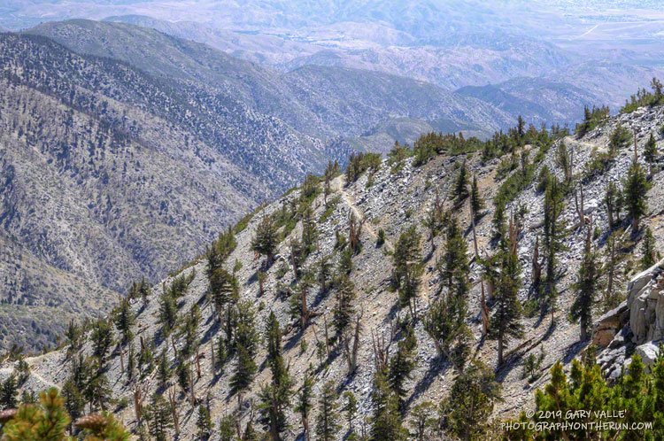 Looking down at the Sky High Trail switchbacks.