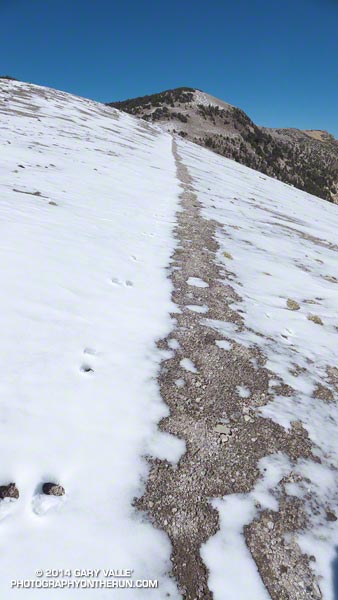 Continuing up the ridge.