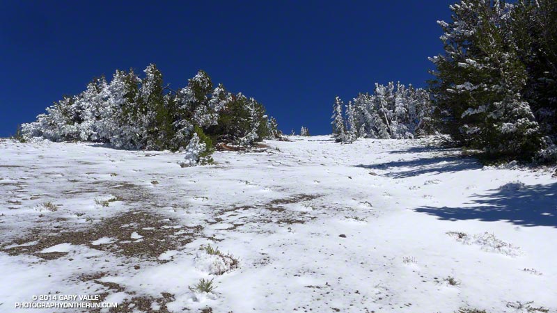 Snow above Deadman Pass.