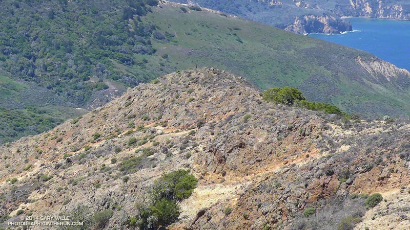 If you look closely and squint, Art's on the trail in the center of the photo.