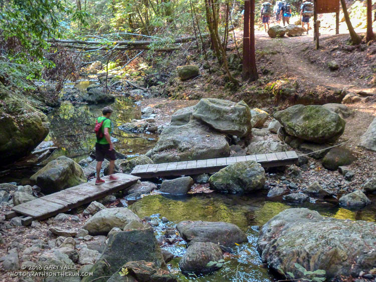 Another crossing of West Waddell Creek. About mile 21 of the PCTR Skyline to the Sea Marathon.