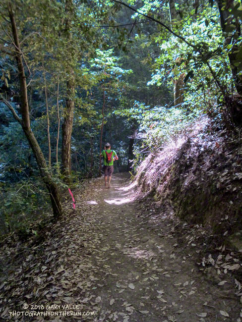 Idyllic trail along Opal Creek at about mile 13 of the Skyline to the Sea Marathon.