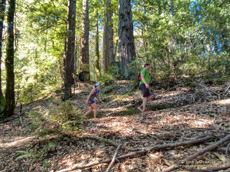 Working up a switchback about a mile past Waterman Gap.