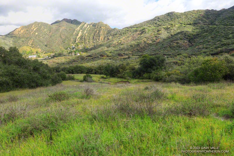 Calabasas Peak (left skyline) and bottom of Topanga Lookout Ridge (right skyline) from the Stunt High Trail.