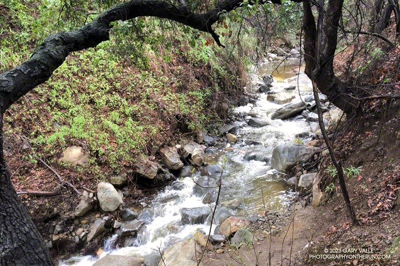 Cold Creek  runs along the trail near the end of the clockwise loop. February 26, 2023.