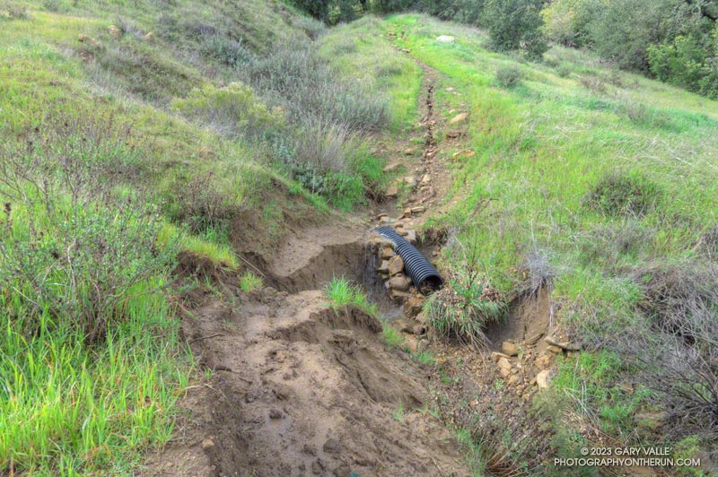 Damaged section of the Stunt High Trail about 0.75 mile from the trailhed. A  use trail has evolved to the east of the main trail to bypass the damaged section. February 26, 2023.