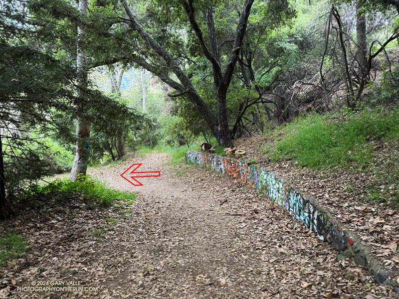 The trail/road continues down and left around a corner with a low, graffitied wall. From the corner, it's about 100-150 yards to the junction with the Josepho Drop Trail. 