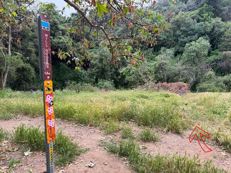 The turn onto the Josepho Drop Trail. This was a bit more than 8 miles into the trail run from the Top of Reseda.
