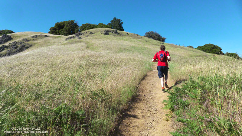 Brett ascending the Old Mine Trail on Mt. Tamalpais.