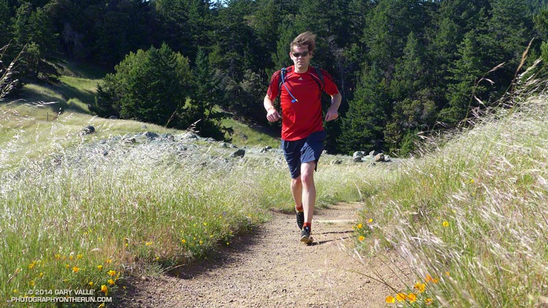 Poppy-lined trail on Mt. Tamalpais.
