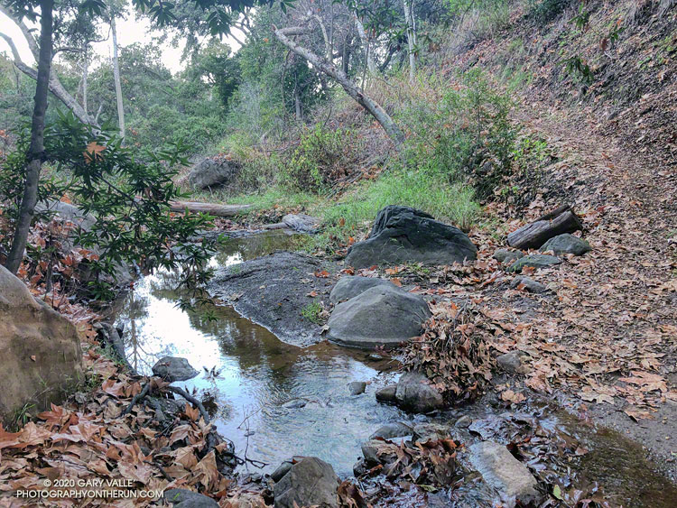 Creek in Dark Canyon, about 2.3 miles into the run.