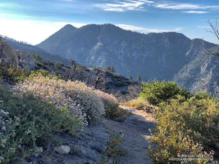 Twin Peaks from the Three Points - Mt. Waterman Trail. The distance to the top of Mt. Waterman is about seven miles.