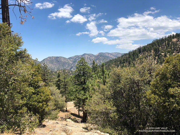 Dry and hot Upper Cooper Canyon on the Pacific Crest Trail just east of Cloudburst Summit.