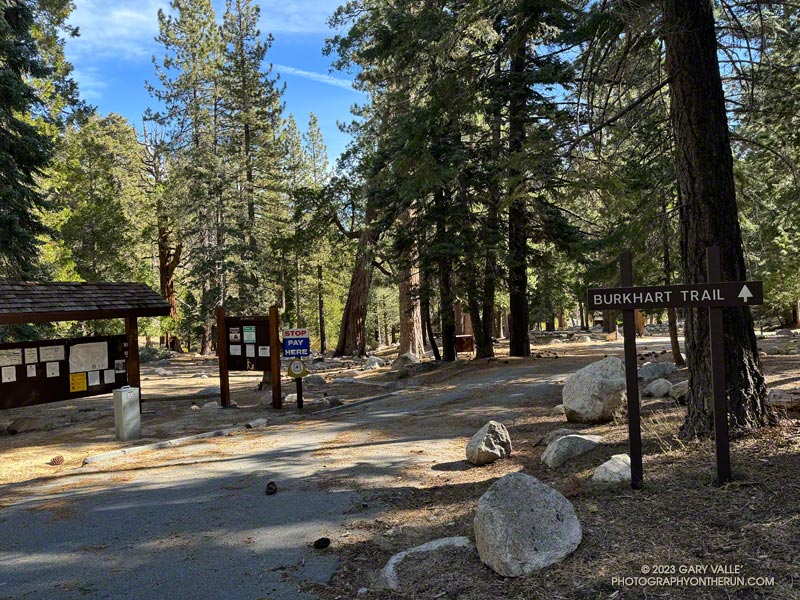 Running through (closed) Buckhorn Campground, on the way to the Burkhart Trail trailhead. November 5, 2023.