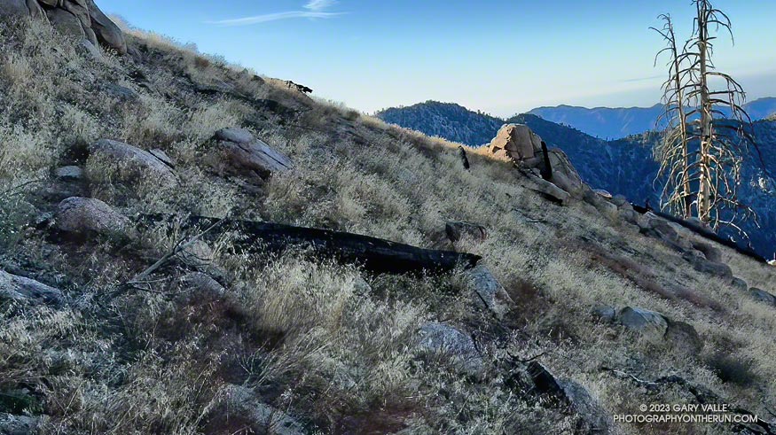 Where does the trail go? Three Points - Mt. Waterman Trail, November 5, 2023.