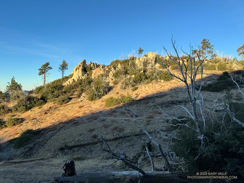 Looking back at the the Three Points - Mt. Waterman Trail about 1.5 miles from Three Points. This area was burned in the 2009 Station Fire. November 5, 2023.