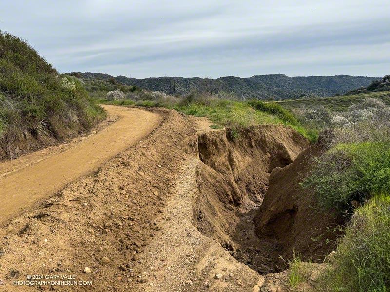 Erosion along Fire Road #30. February 25, 2024.