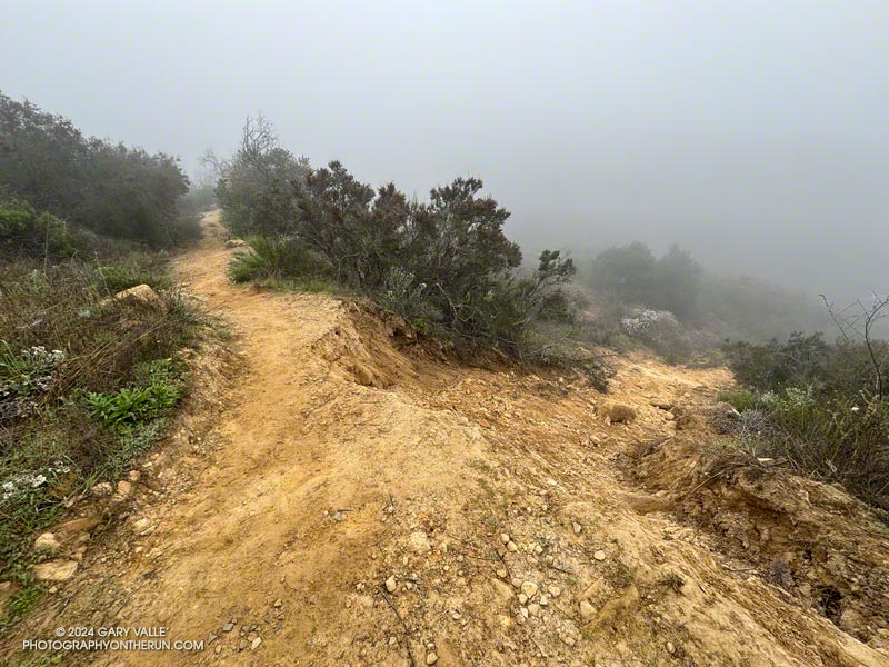 Slide along the Musch Trail, near Trippet Ranch. February 17, 2024.