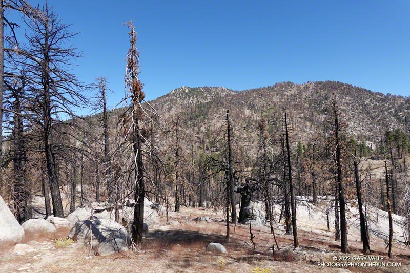 The elevation gain from the low point of the Twin Peaks Trail to the summit of Mt. Waterman is a bit over 1500 feet. August 28, 2022.