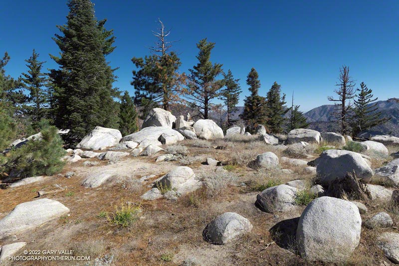 The summit of Twin Peaks East (7761'). August 28, 2022.