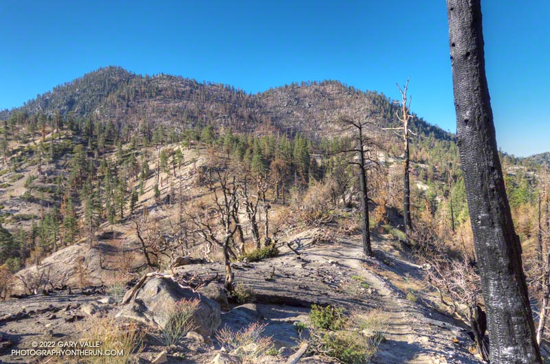 The East (Left) and West summits of Twin Peaks from low on the Twin Peaks Trail. August 28, 2022.