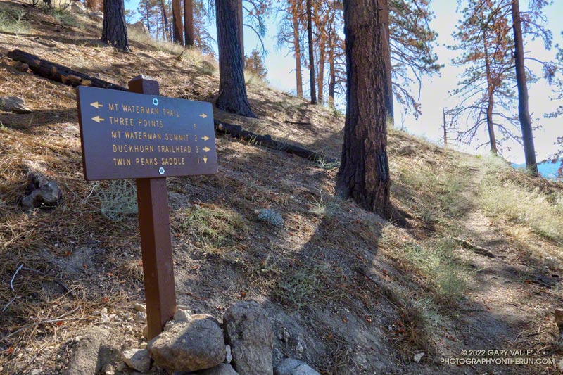 Twin Peaks Trail - Mt. Waterman Trail junction.