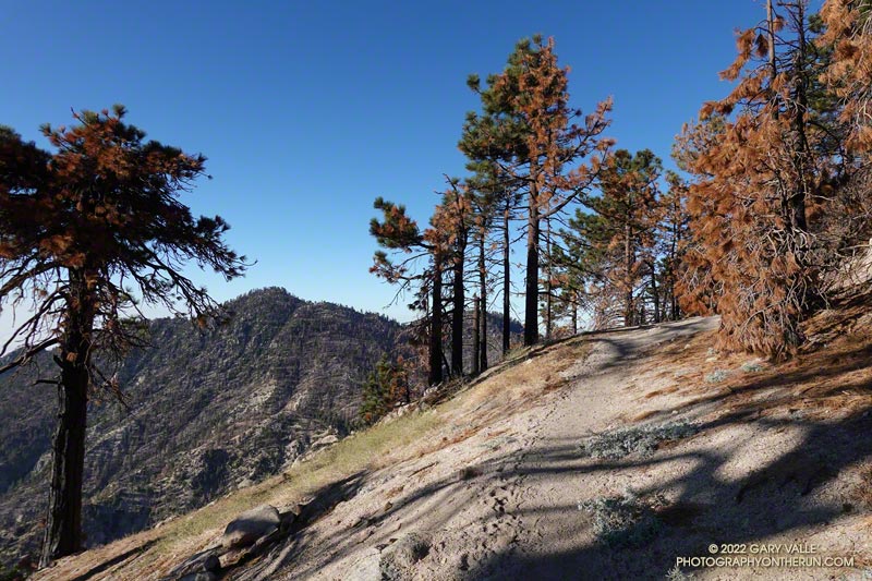Twin Peaks East from the switchbacks on the Mt. Waterman Trail. August 28, 2022.