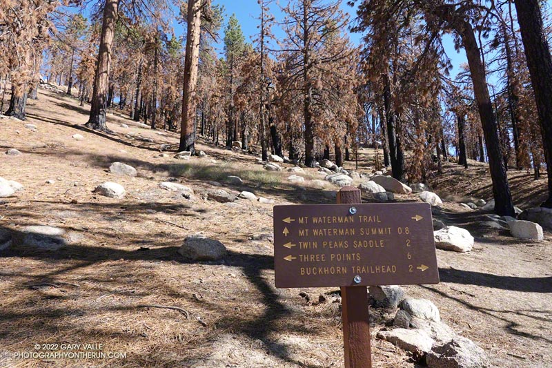 Spur trail to the summit(s) of Mt. Waterman.