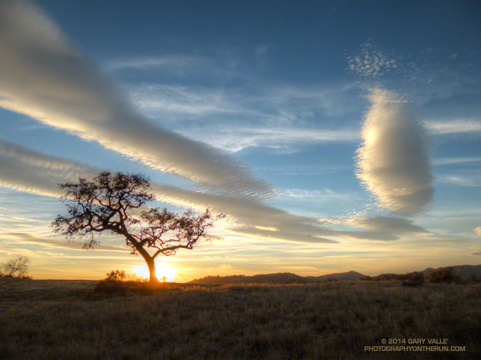 Wave clouds, tree and sunset. Southern California, January 28, 2014.