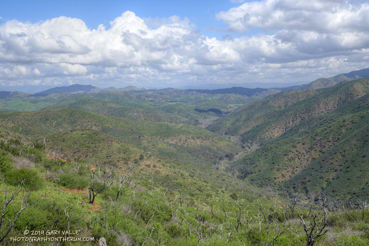 Big Sycamore Canyon from the Overlook Fire Road.