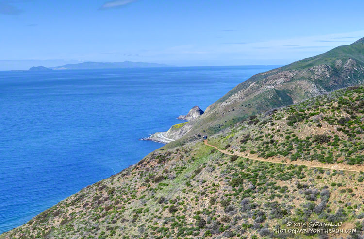 Perfect day along the coast! The downhill on the Ray Miller Trail is a runner favorite.