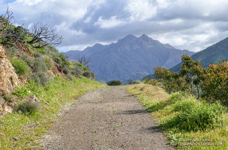 Running up Overlook Fire Road, the lighting on Boney Mountain and its attendant clouds gave the peak a "big mountain" feel.