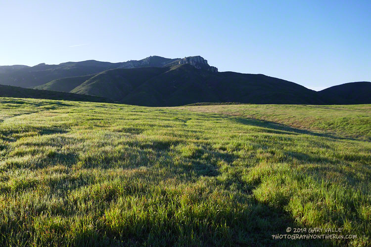 Morning sun on a Satwiwa meadow.