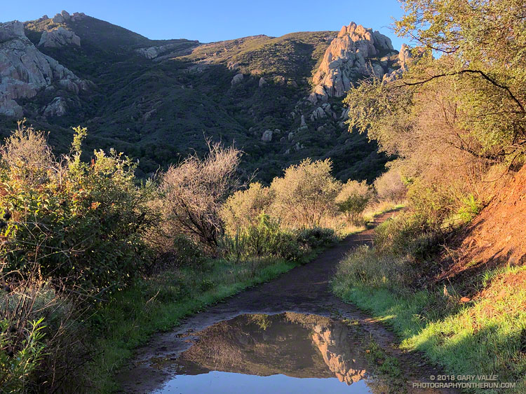 Spectacular morning on Danielson Road in Pt. Mugu State Park following several days of wet weather.