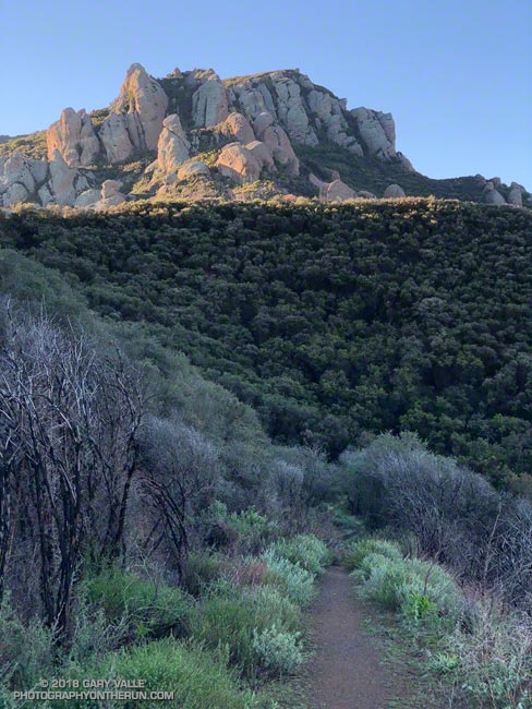 Crags of Boney Mountain's mountaineers' route from the Old Boney Trail.